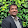 adibabu's profile photo