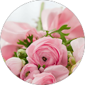 Lily's Florist