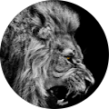 Avatar de Rachel.e
