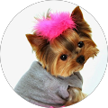 Avatar de celine.E