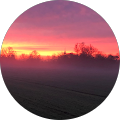 Dog‘s Activity - Langenzenn