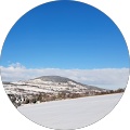 Avatar du profil de Grit Hofmann