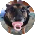 Dimitur