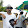 SAI SAGAS Owners Welfare Association's profile photo