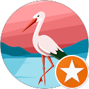 profile photo of user