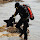 Morten Albertsen's profile photo