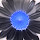 zaph...@gmail.com's profile photo