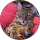 Community member