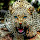 omidalinjad's profile photo