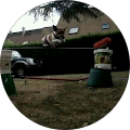 Avatar de camille.k