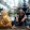 edwinj...@gmail.com's profile photo