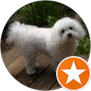 M Tobias's profile image