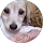 Elisa G.P. profile picture