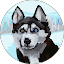Siberian Malamute