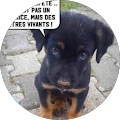 Avatar de PATRICK.r