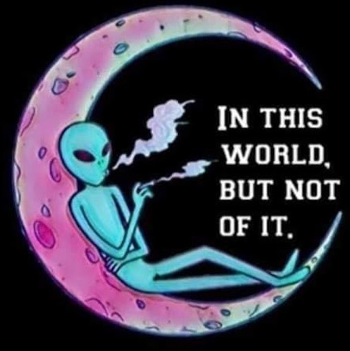 Alien To None