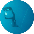 Avatar de Laurent.L