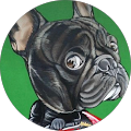 Avatar de HARLEY.O