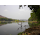 Rajeev Srinivasan's profile photo