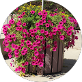 User profile - Eti Argaman Armstrong.