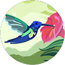 C Eckersley's profile image