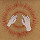 gwy...@gmail.com's profile photo