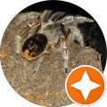 Exploration Services - Greater Sudbury, Ontario