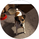 Becky Williams's profile image