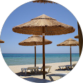 DRIVER APULIA - 