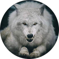 lonewolf Ravenous fang
