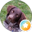 NedStar profile picture