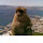 Bobbo's profile photo