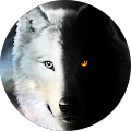 Avatar de Sabine.h