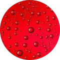 Avatar de Rouge.e