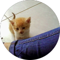 Avatar de Coralie.u