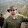 ste...@ridgway.com's profile photo