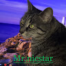 Photo of Mr Nicstar