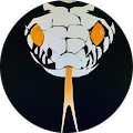 Community member