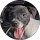 Community member
