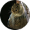 P T