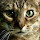 Nurit M's profile photo