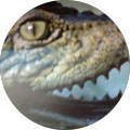 Avatar de Aftis.a
