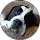 Community member