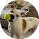 ALV UjVmvWe46EsCbQ4SFUAXotoXa2m eZ2fKb6nU0jTRY b9OcePtc=s56 c rp mo br100