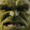 Sebastian Tauchmann's profile photo