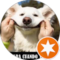 Super Rubio
