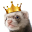 Ferret King