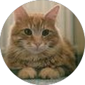 Avatar du profil de Gwen Stigter