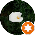Avatar de Elizabeth.a