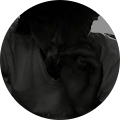 Avatar de Le.h